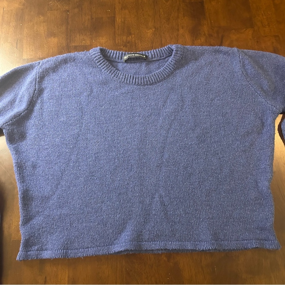 brandy melville blue cropped Francesca sweater in a wool blend - Picture 6 of 16